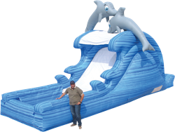 Dolphin Slide